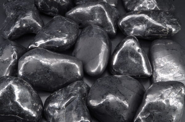 Pierres roulées de Shungite