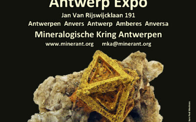Bourse internationale des minéraux et des fossiles à Anvers (Belgique) – 9 et 10 Mai 2026