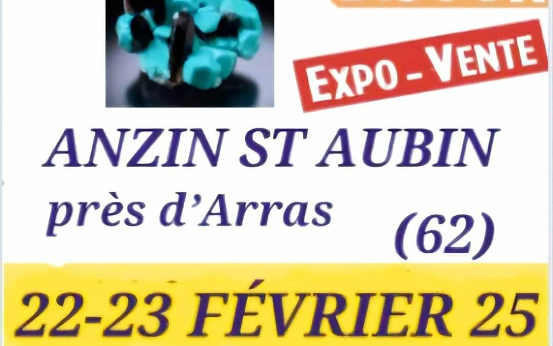 3e édition de la Bourse minéralogique d’Anzin St Aubin du 22 au 23 février 2025