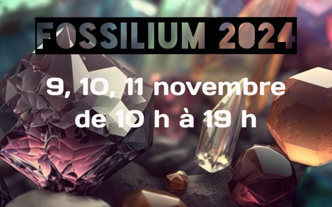 Expo-Vente de Minéraux de Villeneuve d’Ascq le 09, 10 et 11 novembre 2024