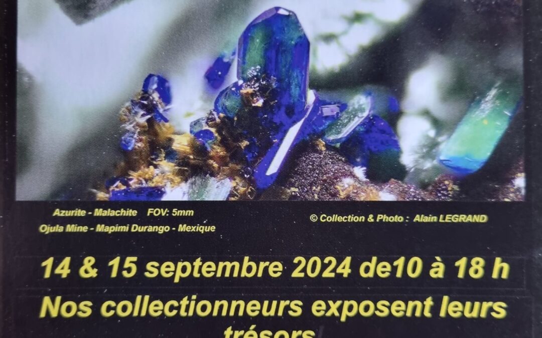 Expo-Vente de Minéraux de Namur 31e édition – 14 et 15 septembre 2024