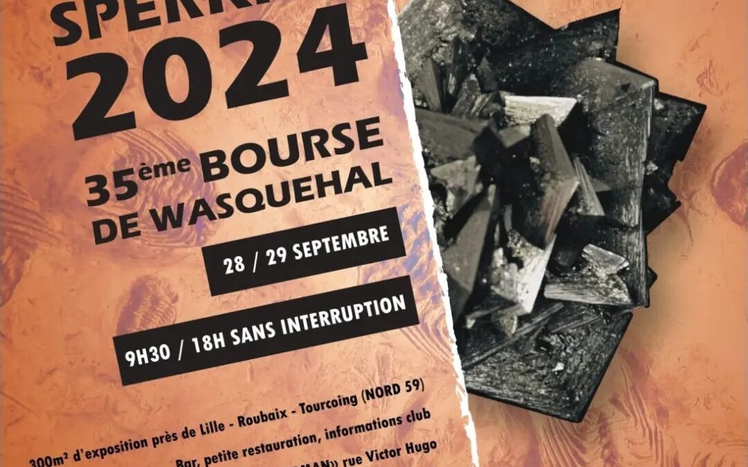 35e Bourse minéralogique de Wasquehal du 28 au 29 septembre 2024