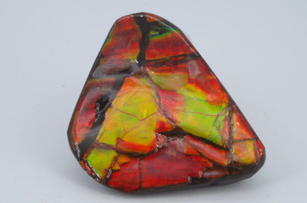 Ammolite Canada 5x4cm (a245-172) – Image 2