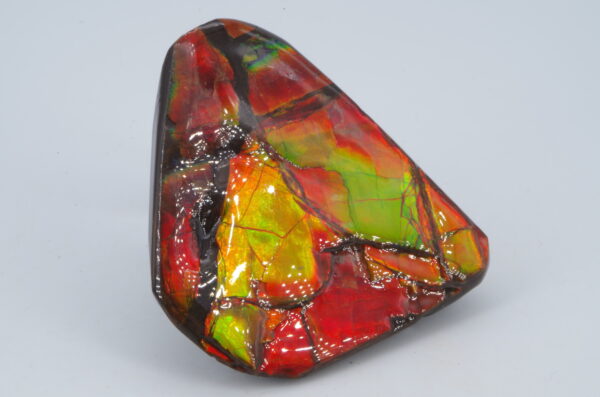 Ammolite Canada 5x4cm (a245-172) – Image 3