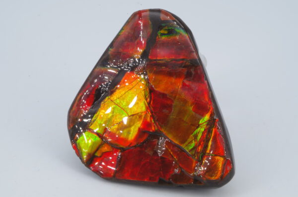 Ammolite Canada 5x4cm (a245-172) – Image 4