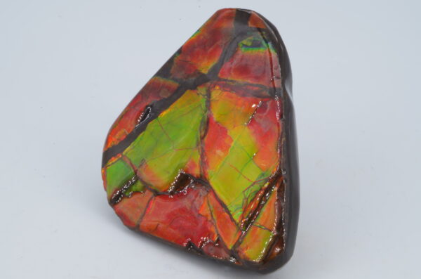 Ammolite Canada 5x4cm (a245-172) – Image 5