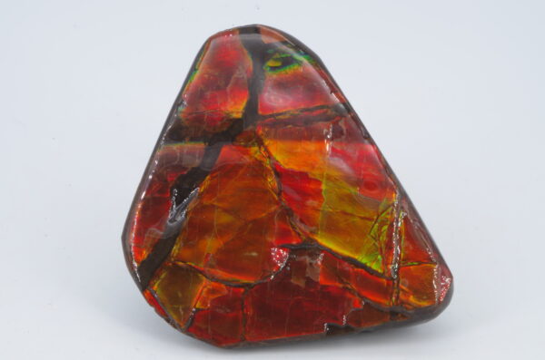 Ammolite Canada 5x4cm (a245-172) – Image 6