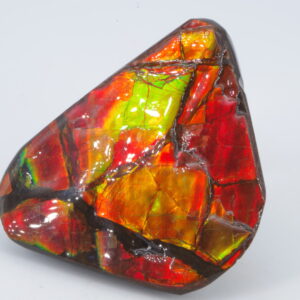 ammolite du canada