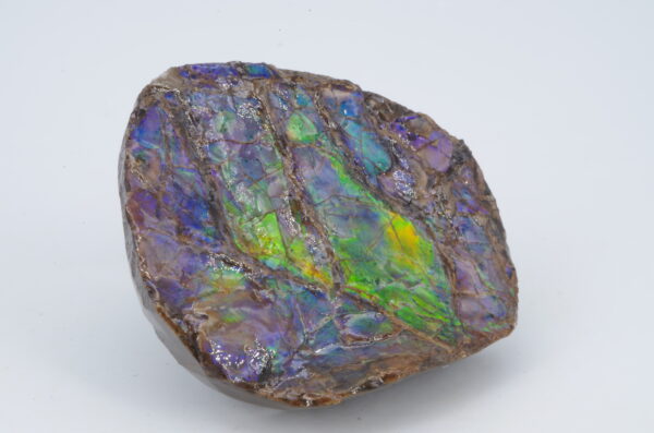 Ammolite Canada 5.1x4.2cm (a245-171) – Image 3