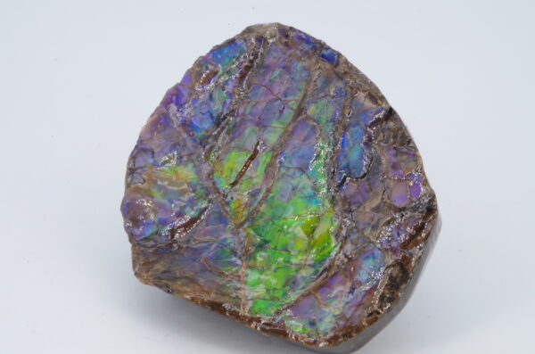 Ammolite Canada 5.1x4.2cm (a245-171) – Image 5