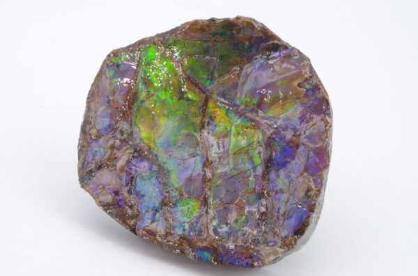 Ammolite Canada 5.1x4.2cm (a245-171) – Image 8