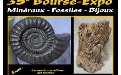 Bourse minéralogique de Hannut 2026