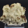 adamite mexique