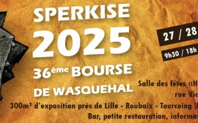 Sperkisse 2025 : bourse minéralogique de Wasquehal