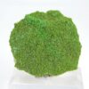 Pyromorphite d'Allemagne