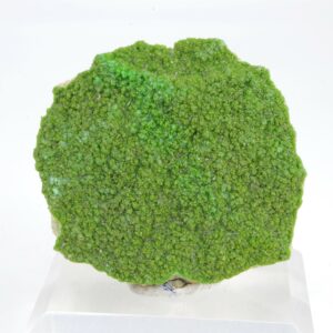 Pyromorphite d'Allemagne