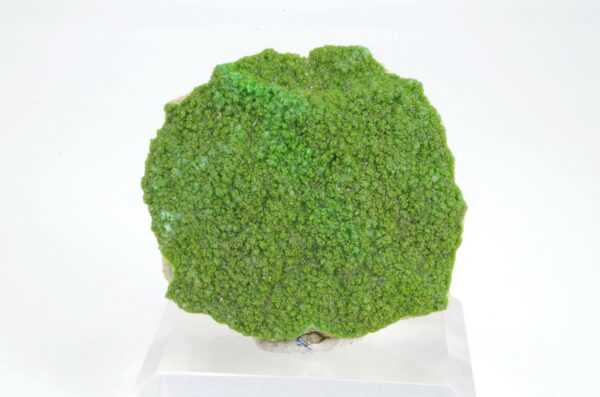 Pyromorphite d'Allemagne
