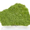 Pyromorphite d'Allemagne