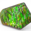 Ammolite du Canada