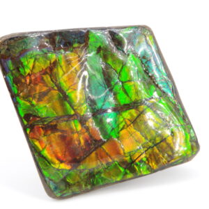 Ammolite du Canada