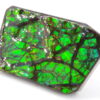 Ammolite du Canada