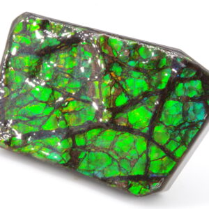 Ammolite du Canada