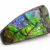 Ammolite du Canada