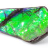 Ammolite du Canada