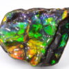 Ammolite du Canada