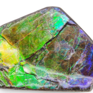 Ammolite du Canada