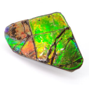 Ammolite du Canada