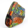 Ammolite du Canada