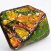 Ammolite du Canada