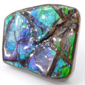 Ammolite du Canada