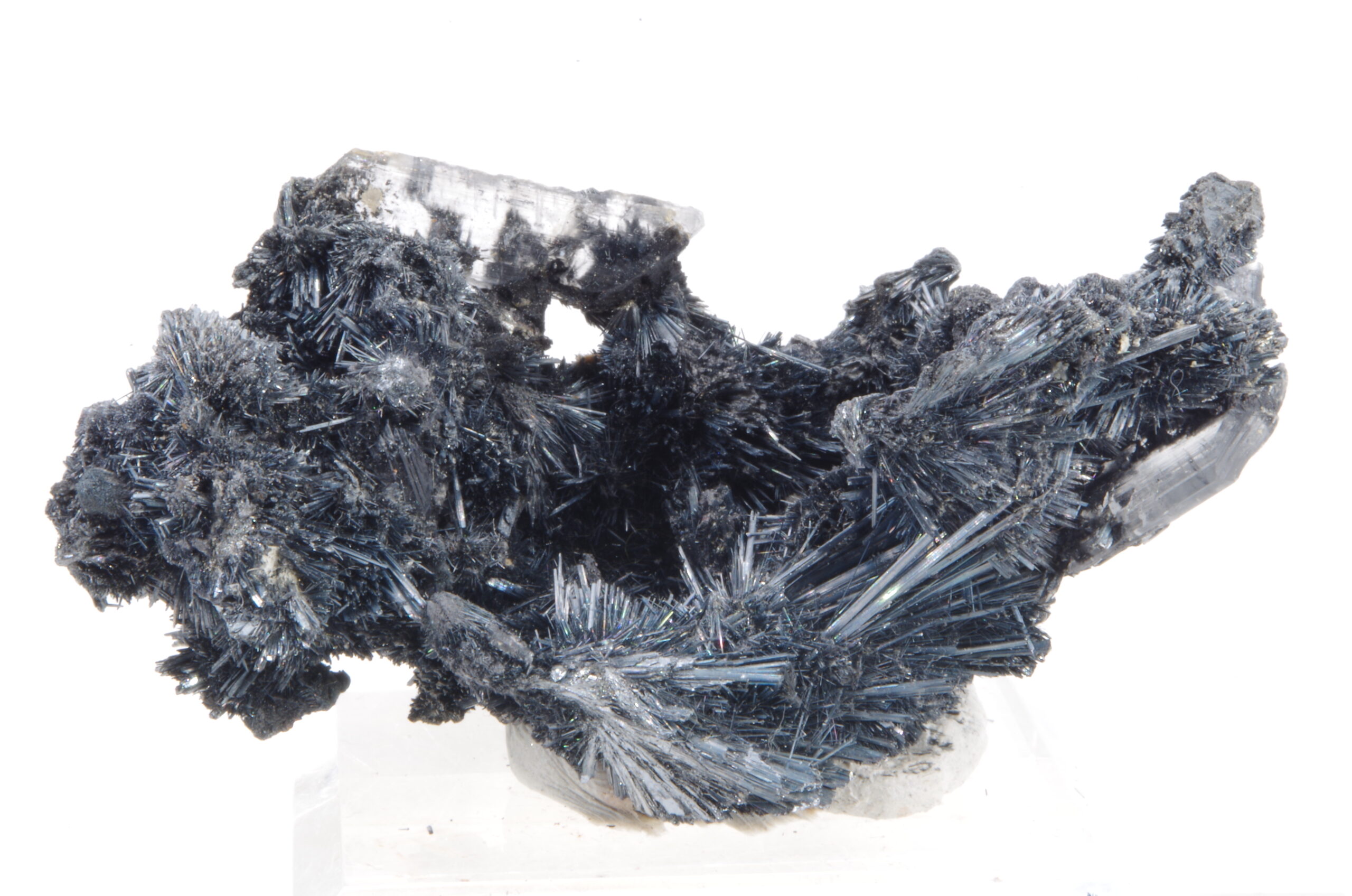 Stibnite et Gypse de Roumanie