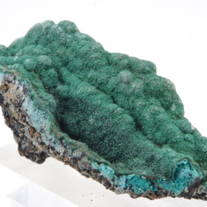 Malachite sur Chrysocolle du Congo