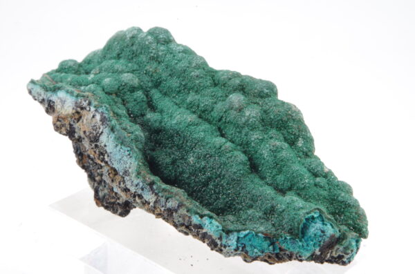 Malachite sur Chrysocolle du Congo
