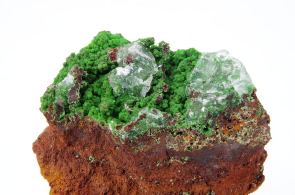 Conichalcite et Calcite du Mexique