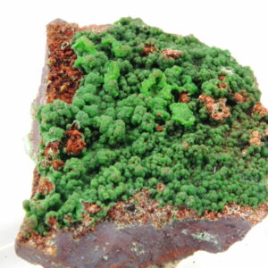 Conichalcite et Calcite du Mexique