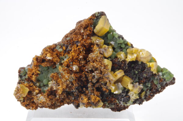 Jolie cristallisation de Wulfénite jaune à faciès dit "en sandwich" disposée sur des sphérules de Mimétite verte parcourant la matrice.