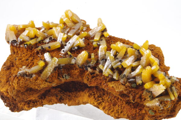 Wulfénite du Mexique