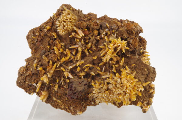 Wulfénite du Mexique