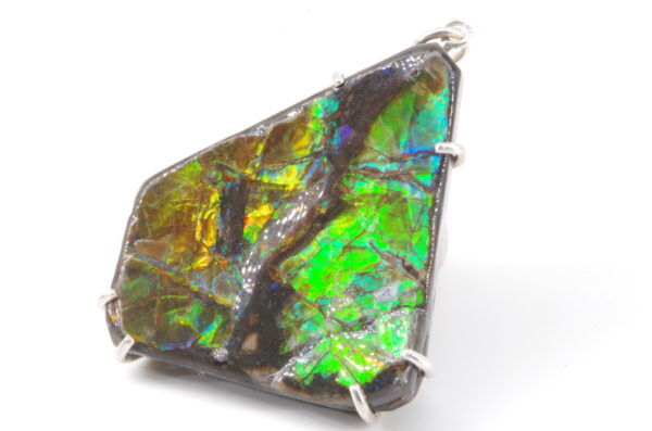 Pendentif avec Ammolite authentique 100% naturelle
