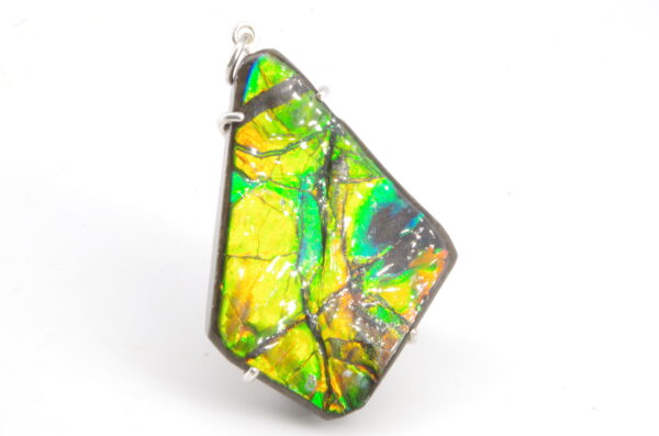 Pendentif avec Ammolite authentique 100% naturelle