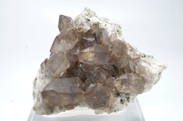 Quartz fumé du Mont-Blanc