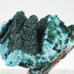 Chrysocolle et Malachite du Congo