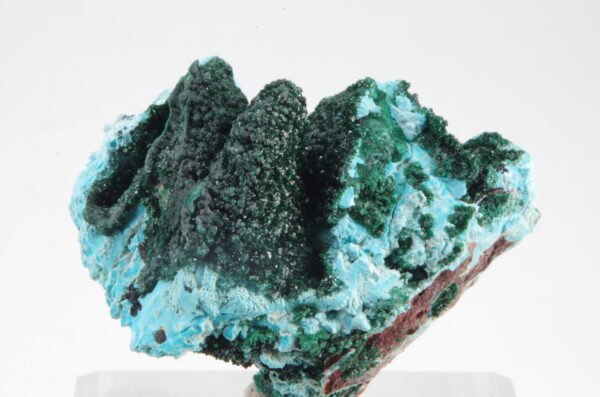 Chrysocolle et Malachite du Congo