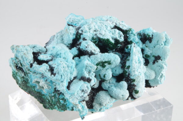 Chrysocolle et Malachite du Congo