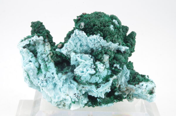 Chrysocolle et Malachite du Congo