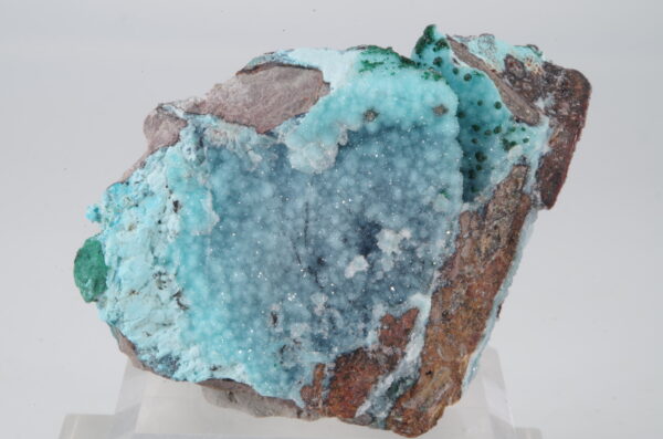 Chrysocolle du Congo